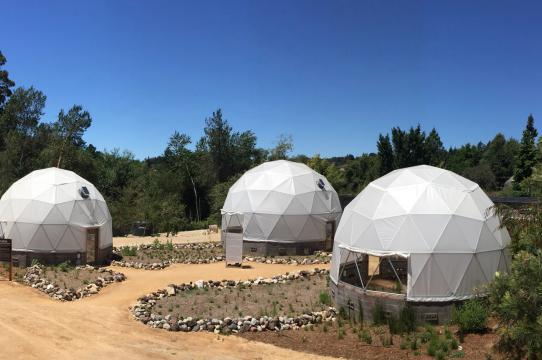 Three geodesic domes