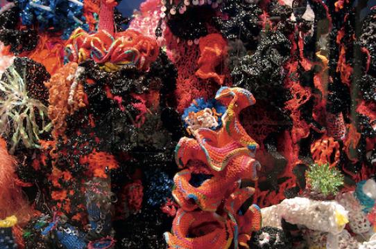 Institute For Figuring's Crochet Coral Reef project, 2005-ongoing. Photo © the IFF.