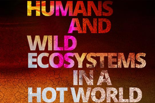 Humans and the Wild Ecosystem in a Hot World