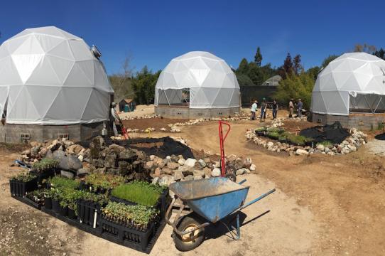 The Harrison's Future Garden, 2018, installation view