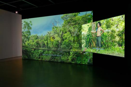 Ursula Biemann and Paulo Tavares, Forest Law, 2014, Multi-channel video installation and photo-text assemblage.