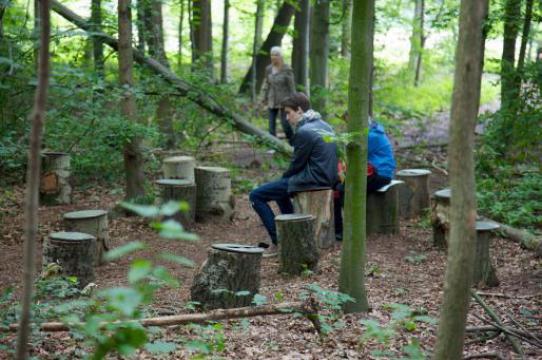 Alt: Janet Cardiff & George Bures Miller, FOREST (for a thousand years...) 2012, Installation view from dOCUMENTA (13), Kassel Germany.