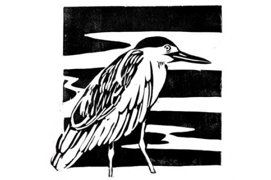 Norris Center Heron Print Underwood